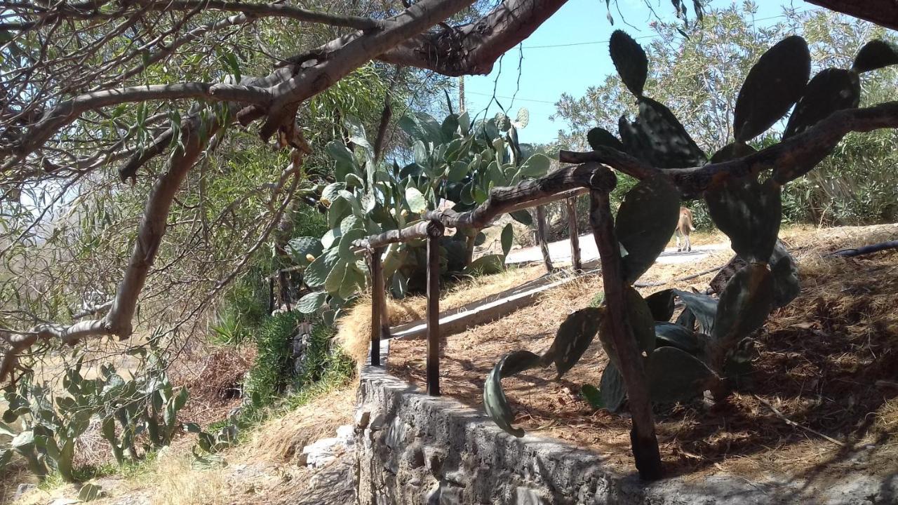 Sifis Pirounakis Anatoli Villa Lentas Bagian luar foto