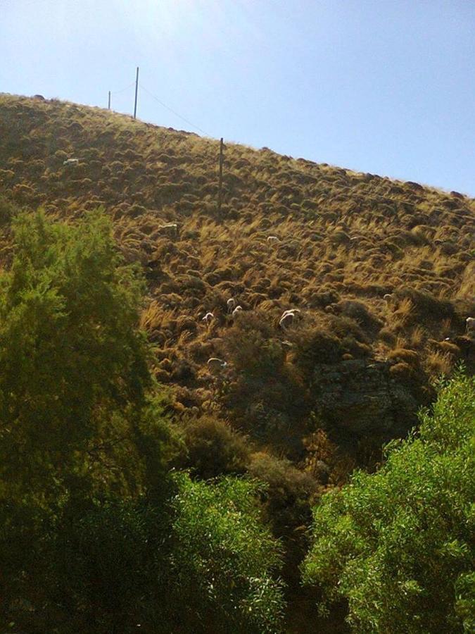 Sifis Pirounakis Anatoli Villa Lentas Bagian luar foto